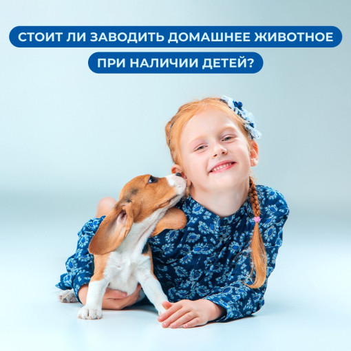 День домашних животных День домашних животных.